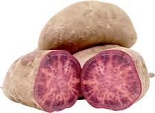 Purple Yam