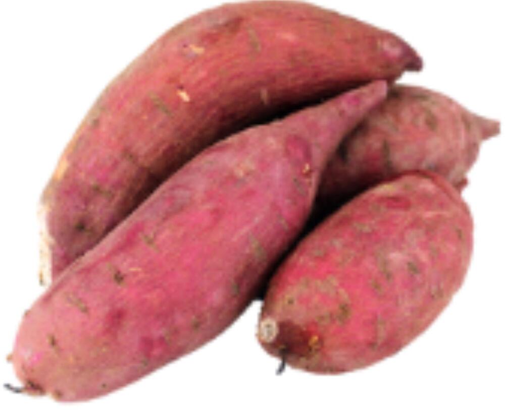 Japanese Yam