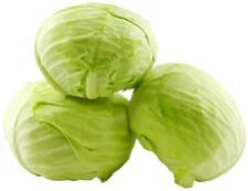 Taiwan Cabbage
