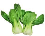 Shanghai Choy