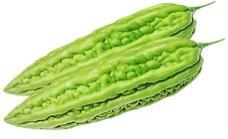 Bitter Melon