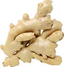 Ginger