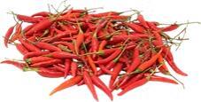 Red Thai Hot Pepper