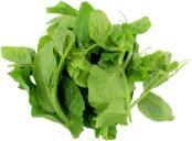 Snow Pea Leaves