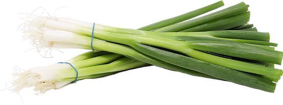 Green Onion
