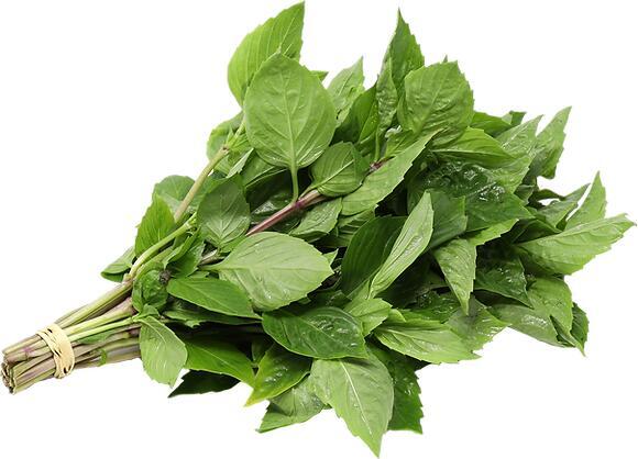 Thai Basil