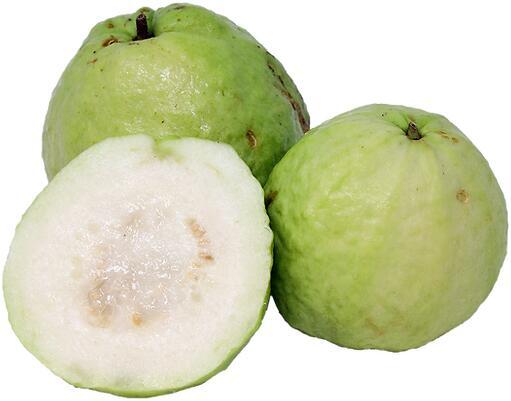 Red Guava