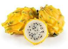  Dragon Fruit