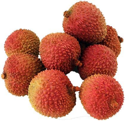 Lychee