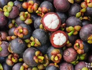 Mangosteen