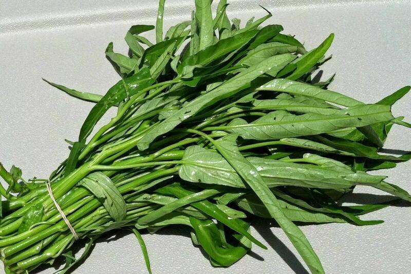 Water Spinach