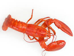 Live Crawfish