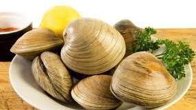 Cherry Clam