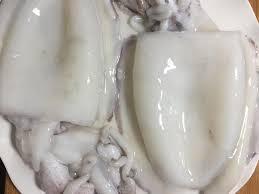 Whole Squid