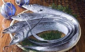 Belt Fish