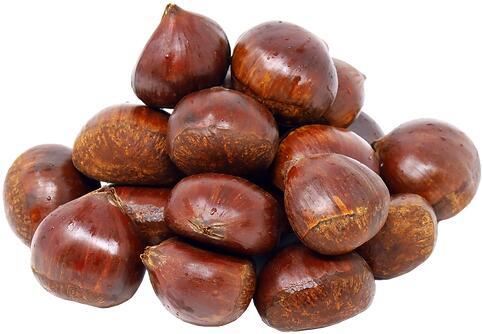 Chinese Chestnut