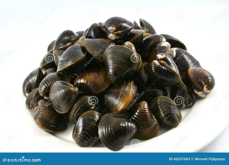 Baby Snail