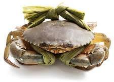 Cream Crab
