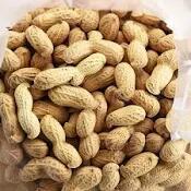 Dried Peanut
