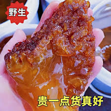 Jelly Fish