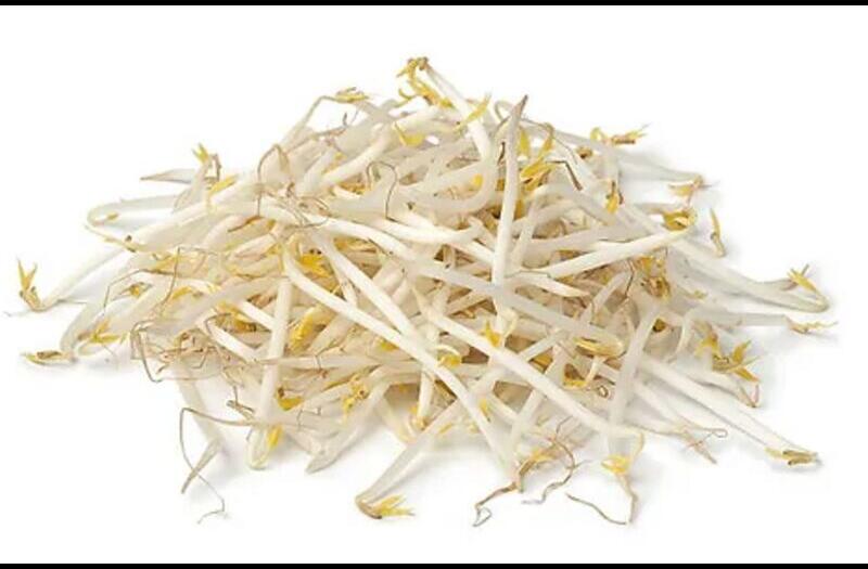 Bean Sprout