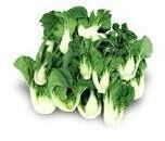 Bock Choy Tip