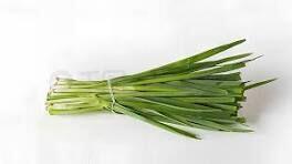 Green Chive