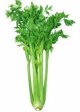 Celery