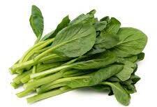 Yu Choy