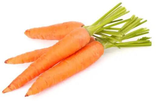 Carrot