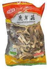 Deer Antler Mushroom