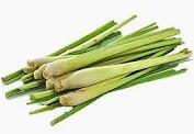 Lemon Grass