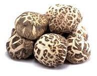 Chinese Shiitake Mushroom