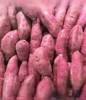 Potato